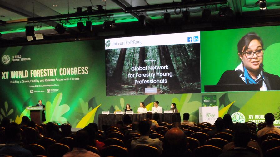 Global Network for Forestry Young Professionals