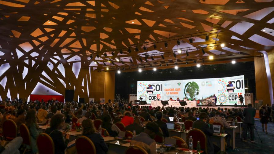 The first day of UNCCD COP15 opened in Abidjan, Côte d'Ivoire