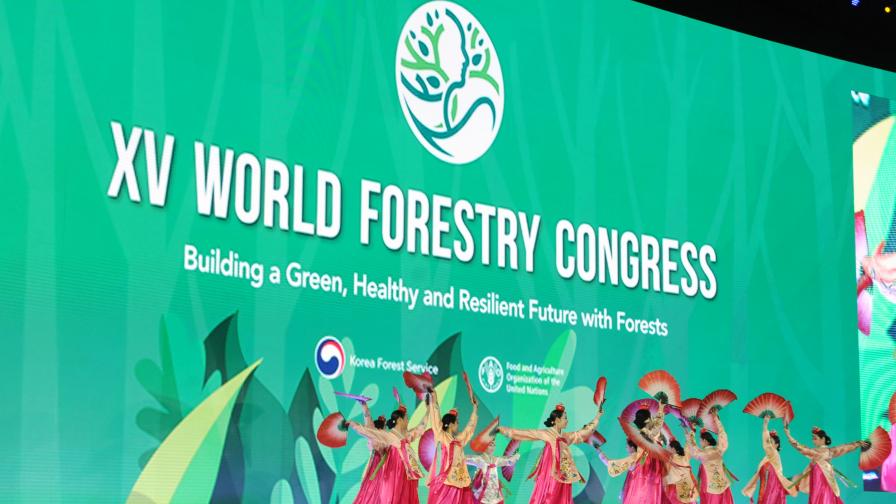 WFC 21 opens in Seoul with a traditional Korean dancing performance