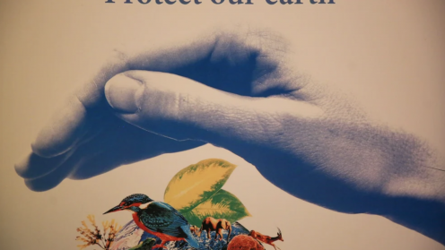 Protect our Earth