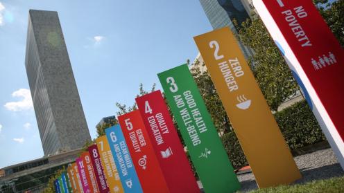The first day of the 2020 High-level Political Forum began online, focused on how to achieve the Sustainable Development Goals (SDGs) while combatting COVID-19.