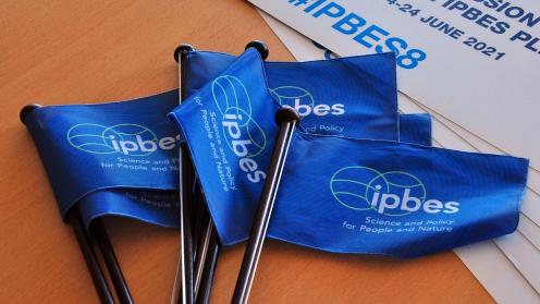 IPBES flags