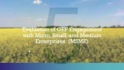 Evaluation of GEF Engagement with MSME