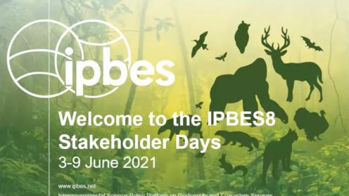IPBES8 Stakeholder Days