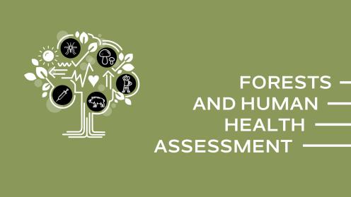 Forests and Human Health Assessment