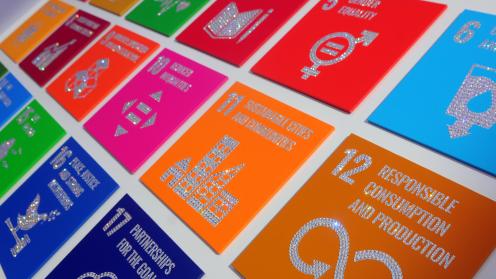 SDGs
