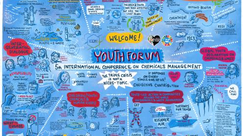 ICCM5 Youth Forum proceedings drawing