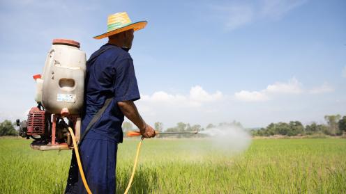 Farmer herbicides agriculture