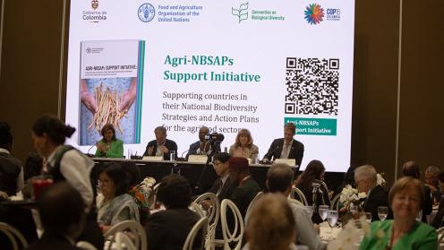 Agri NBSAPs - Ministerial Lunch - 30Oct