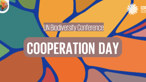 Cooperation Day Banner