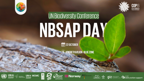 NBSAP day banner
