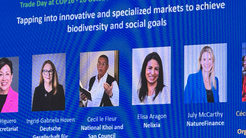 Tapping into innovative and specialized markets