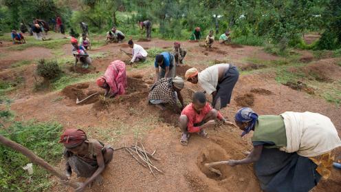 Farmers from Africa