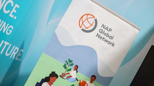 NAP banner 