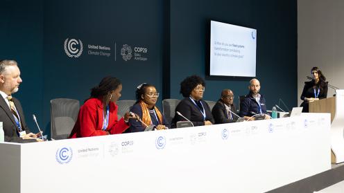 Panel - Boosting NDCs for a Greener Future - 20Nov2024