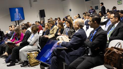 Participants Judicial Perspectives - 16Nov2024