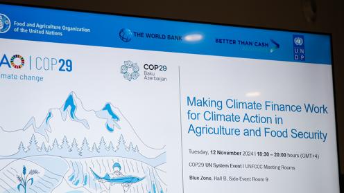 Slide - Making Climate Finance Work for Climate Action - 12Nov2024