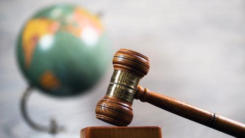 Gavel and globe