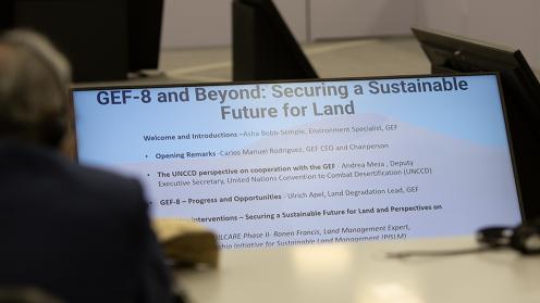 Future and Land - GEF-8 and Beyond - 4Dec2024