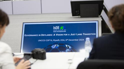 Governance - - Governance in Drylands - UNCCD COP16 - 6Dec2024