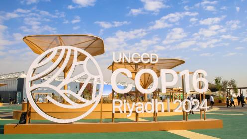 UNCCD COP 16 logo 
