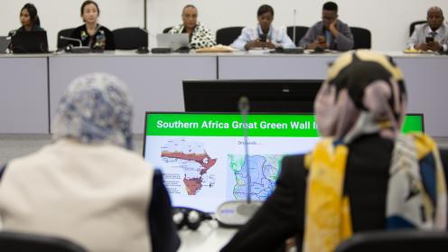 View - Implementation of the Great Green Wall strategy - GEF SGP - UNCCD COP16 - 7Dec2024