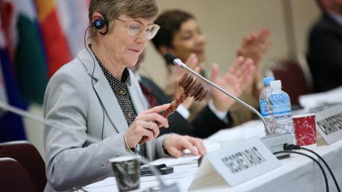 The Chair Anna Tyler (New Zealand) concludes ITCC-60 with a decisive strike of the gavel.
