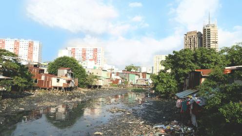 Waste in South Asia