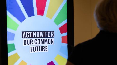Act now for our common future