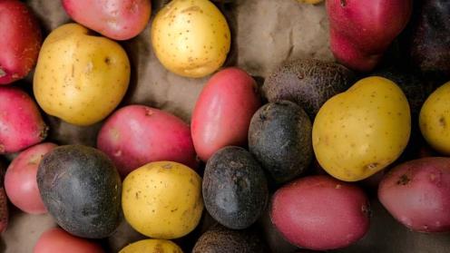 Potatoes