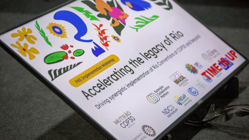 1. Accelerating the legacy of Rio - COP30 - 15Nov