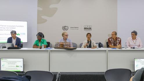 A view of the panel 