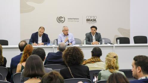 A view of the panel 