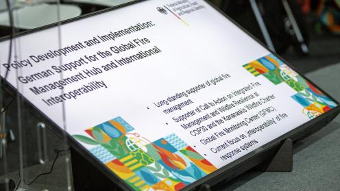 Global Fire  - Global Fire Hub - COP30 - 17Nov