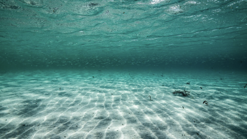 Ocean