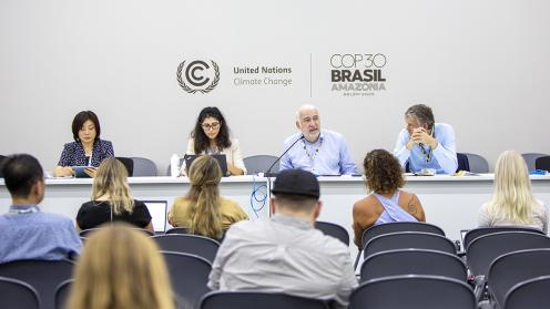 Panelists - Unlocking Climate-SDG Synergies - COP30 - 13 Nov 2025
