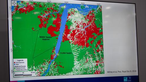 Slide from Erika Berenguer - From Trade-offs to Synergie - COP30 - 11 Nov 2025