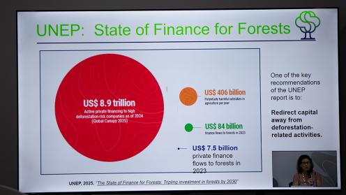 State of Finance - Reliance on land in NDCSe-20Nov-COP30