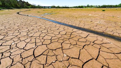 Dry land
