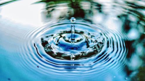 Water