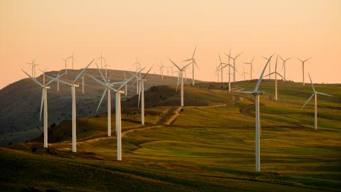 Windmills on green field under white sky during daytime