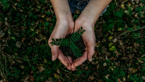 Sustainability