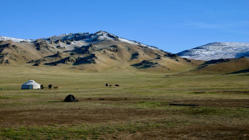 Green grass field near mountain under blue sky during daytime