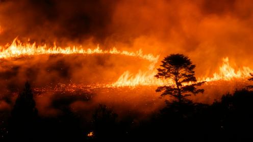 Fire burning in a field