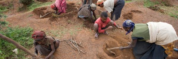 African farmers