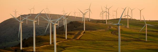 Windmills on green field under white sky during daytime