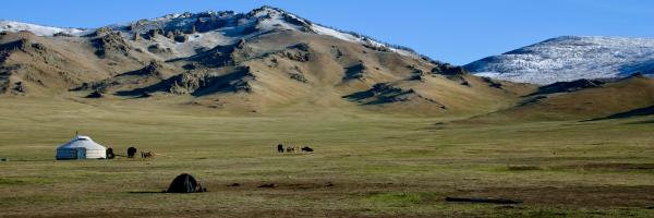 Green grass field near mountain under blue sky during daytime