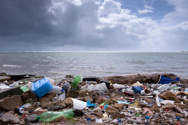 Plastic garbage on the coast