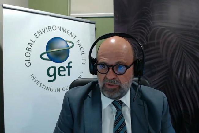 Carlos Manuel Rodríguez, GEF CEO and Chairperson