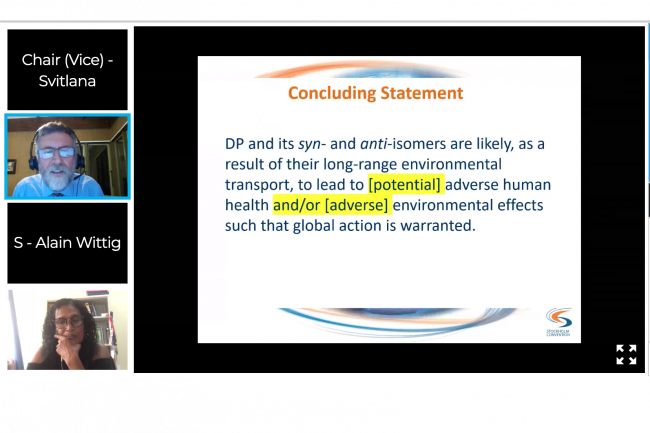 Victorine Pinas (Suriname) introduced the revised draft risk profile on Dechlorane Plus.